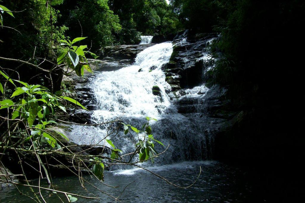 Готель Terra Do Sempre - Reserva Ambiental Сан-Франсіску-ді-Паула Екстер'єр фото